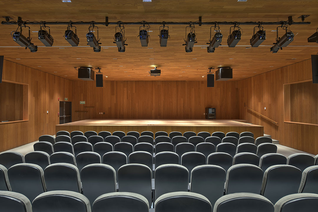 Auditorio - Accesos principales