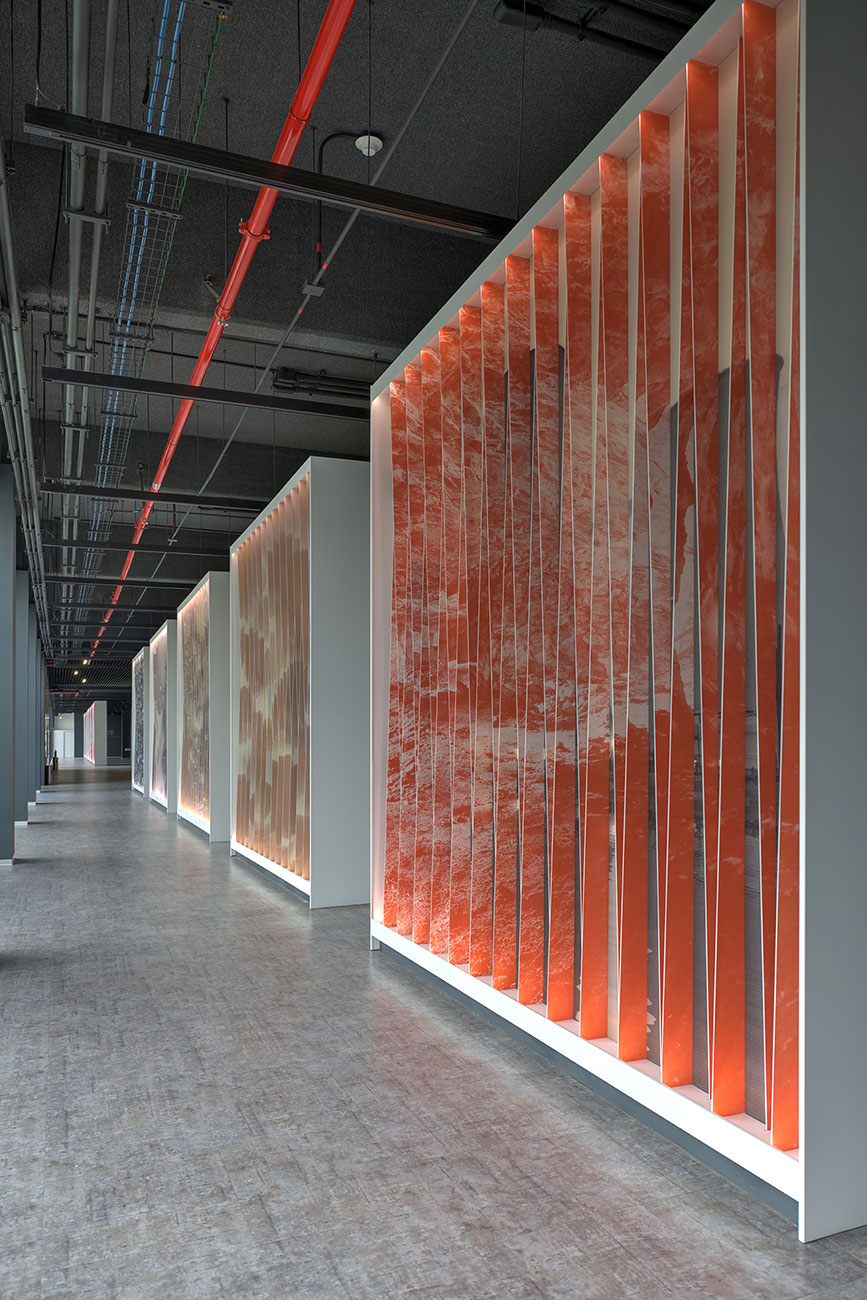 Exhibiciones MUNET - Imagen 17