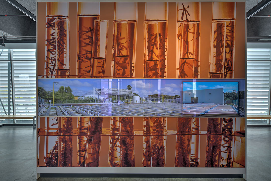 Exhibiciones MUNET - Imagen 34